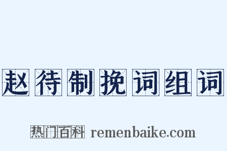 赵待制挽词组词是什么意思的图片